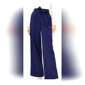 Ann Taylor Petite New Blue Pants